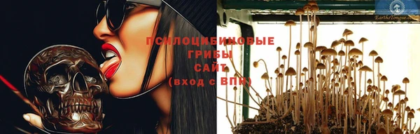 сатива Балахна