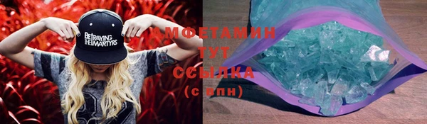 сатива Балахна