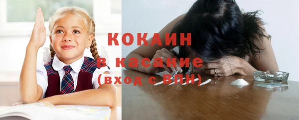 сатива Балахна