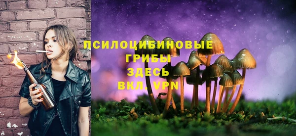 сатива Балахна