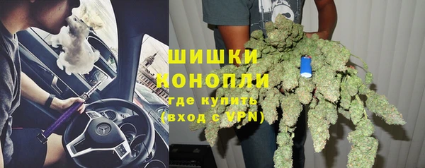 сатива Балахна