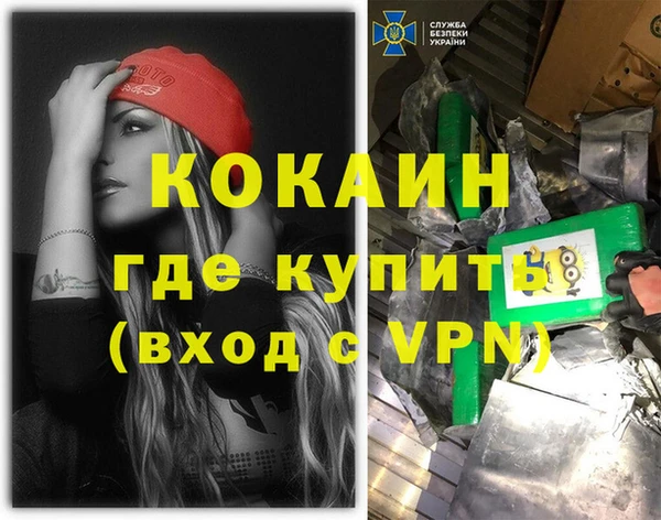 сатива Балахна