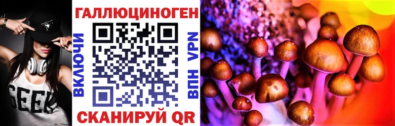 Псилоцибиновые грибы Psilocybine cubensis Горно-Алтайск